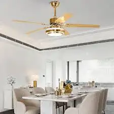 quạt trần phòng sinh hoạt